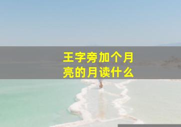 王字旁加个月亮的月读什么