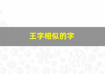 王字相似的字