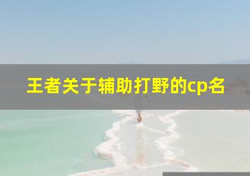 王者关于辅助打野的cp名