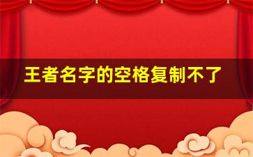 王者名字的空格复制不了