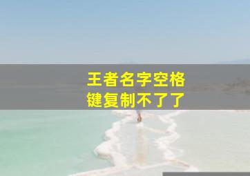 王者名字空格键复制不了了