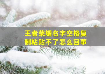 王者荣耀名字空格复制粘贴不了怎么回事