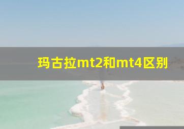 玛古拉mt2和mt4区别