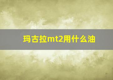 玛古拉mt2用什么油