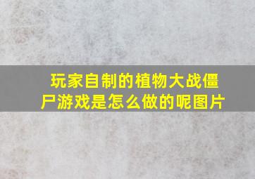 玩家自制的植物大战僵尸游戏是怎么做的呢图片