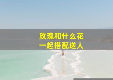 玫瑰和什么花一起搭配送人