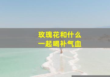 玫瑰花和什么一起喝补气血