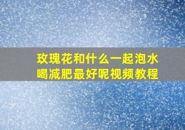 玫瑰花和什么一起泡水喝减肥最好呢视频教程