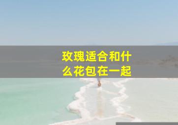 玫瑰适合和什么花包在一起