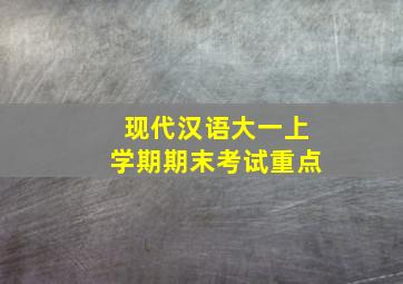 现代汉语大一上学期期末考试重点