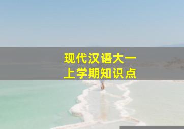 现代汉语大一上学期知识点