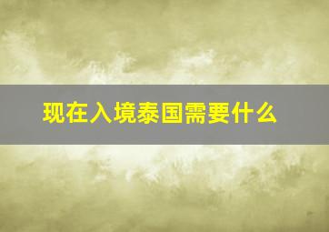 现在入境泰国需要什么