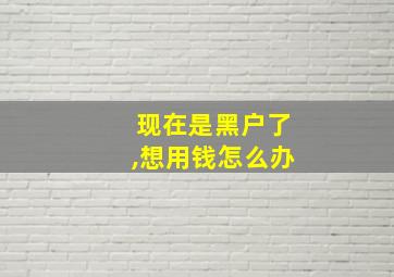 现在是黑户了,想用钱怎么办