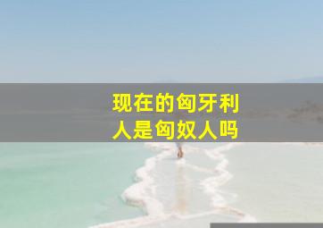 现在的匈牙利人是匈奴人吗