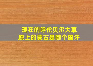 现在的呼伦贝尔大草原上的蒙古是哪个国汗