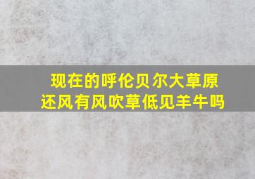 现在的呼伦贝尔大草原还风有风吹草低见羊牛吗