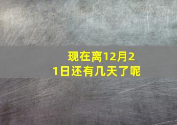 现在离12月21日还有几天了呢