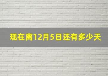 现在离12月5日还有多少天