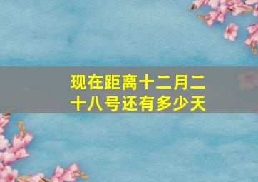 现在距离十二月二十八号还有多少天