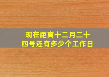 现在距离十二月二十四号还有多少个工作日