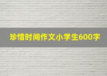 珍惜时间作文小学生600字