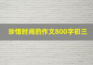 珍惜时间的作文800字初三