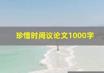 珍惜时间议论文1000字