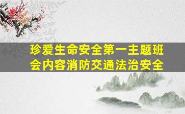 珍爱生命安全第一主题班会内容消防交通法治安全