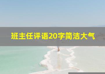 班主任评语20字简洁大气