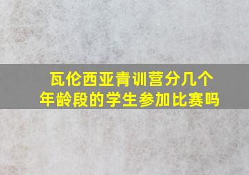 瓦伦西亚青训营分几个年龄段的学生参加比赛吗