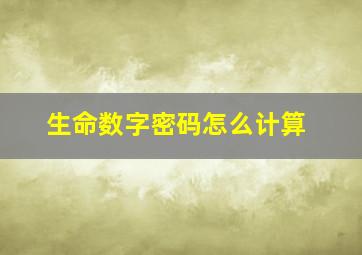 生命数字密码怎么计算