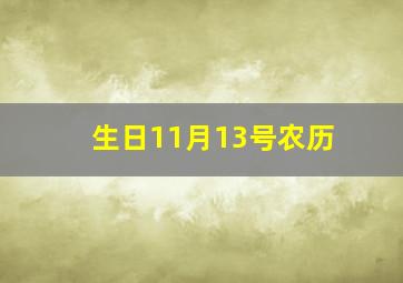 生日11月13号农历