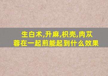 生白术,升麻,枳壳,肉苁蓉在一起煎能起到什么效果