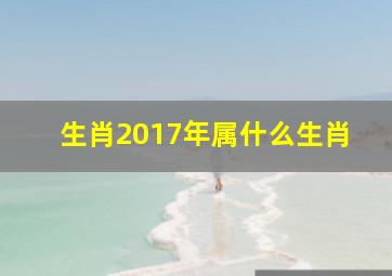 生肖2017年属什么生肖