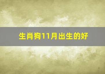 生肖狗11月出生的好