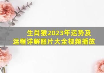 生肖猴2023年运势及运程详解图片大全视频播放