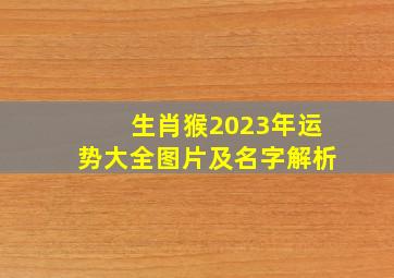 生肖猴2023年运势大全图片及名字解析