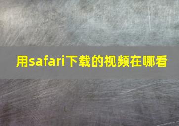 用safari下载的视频在哪看