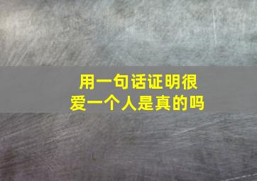 用一句话证明很爱一个人是真的吗