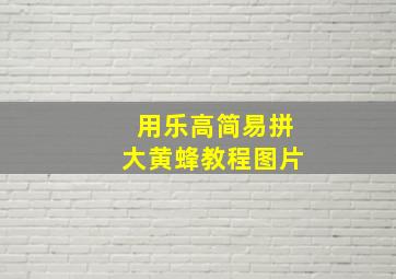 用乐高简易拼大黄蜂教程图片