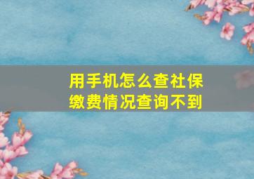 用手机怎么查社保缴费情况查询不到