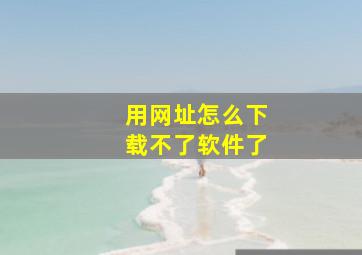 用网址怎么下载不了软件了