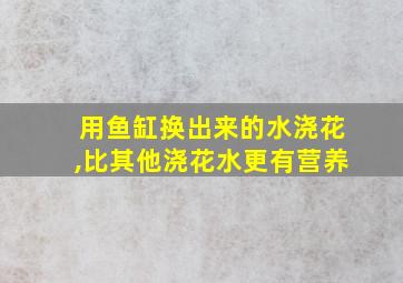 用鱼缸换出来的水浇花,比其他浇花水更有营养