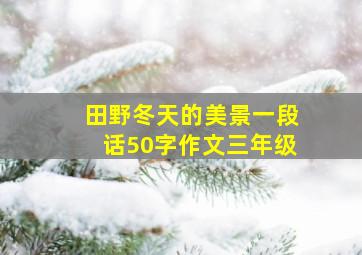 田野冬天的美景一段话50字作文三年级