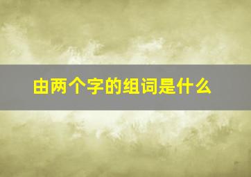 由两个字的组词是什么