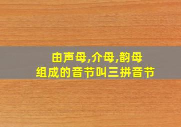 由声母,介母,韵母组成的音节叫三拼音节