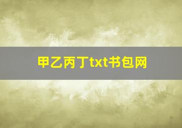 甲乙丙丁txt书包网