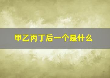 甲乙丙丁后一个是什么