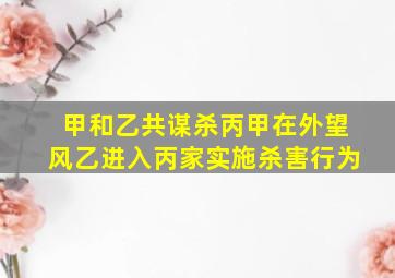 甲和乙共谋杀丙甲在外望风乙进入丙家实施杀害行为