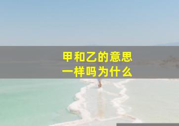 甲和乙的意思一样吗为什么